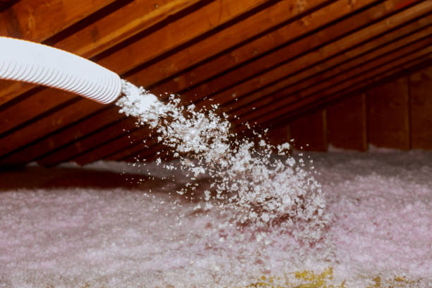 Best Insulation Inspection Services  in Mineralwells, WV