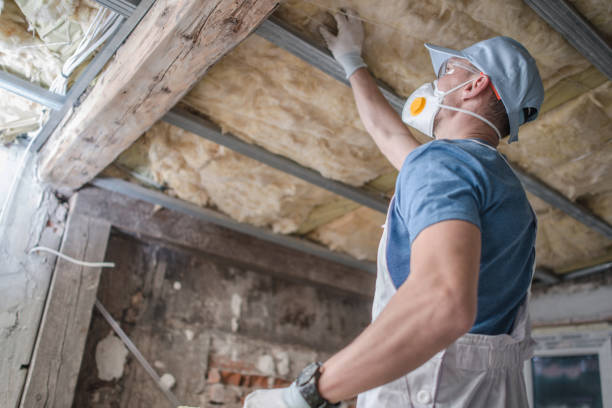 Best Insulation Repair Services  in Mineralwells, WV