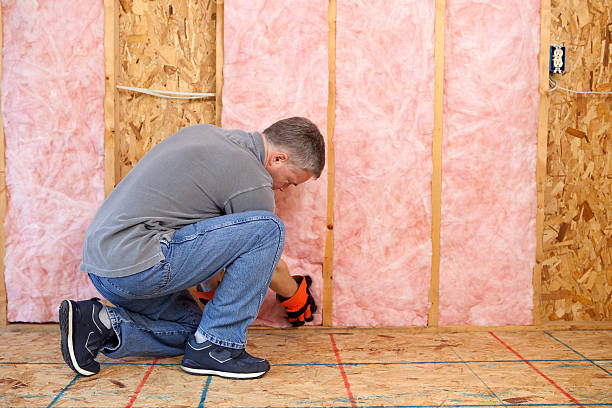 Best Cellulose Insulation  in Mineralwells, WV