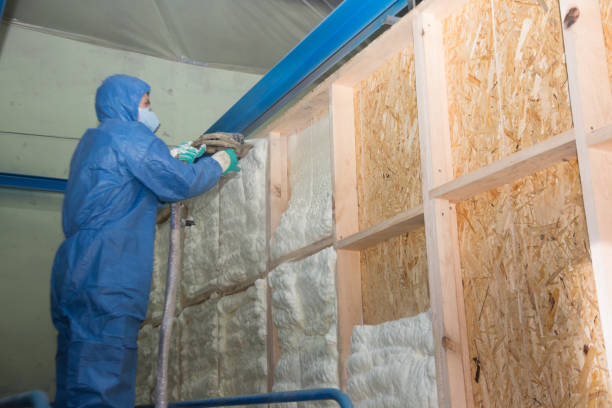 Best Home Insulation Services  in Mineralwells, WV